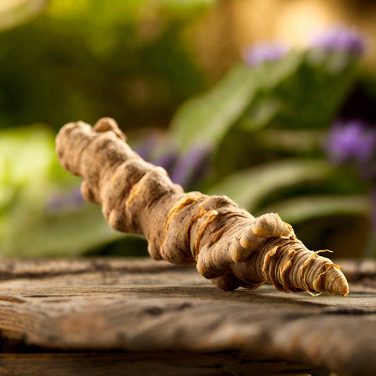 Adaptogens: Nature's Stress Reliever