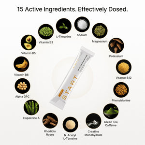 START 5-in-1 Nootropic Energy & Focus Drink Mix with 5g Creatine, 200mg Caffeine, L-Theanine, Alpha-GPC & Rhodiola - Supports Focus, Mood, Hydration, Stress Resilience & Cognitive Performance - 15 Active Ingredients - 14 Servings